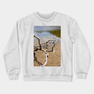 Driftwood Crewneck Sweatshirt